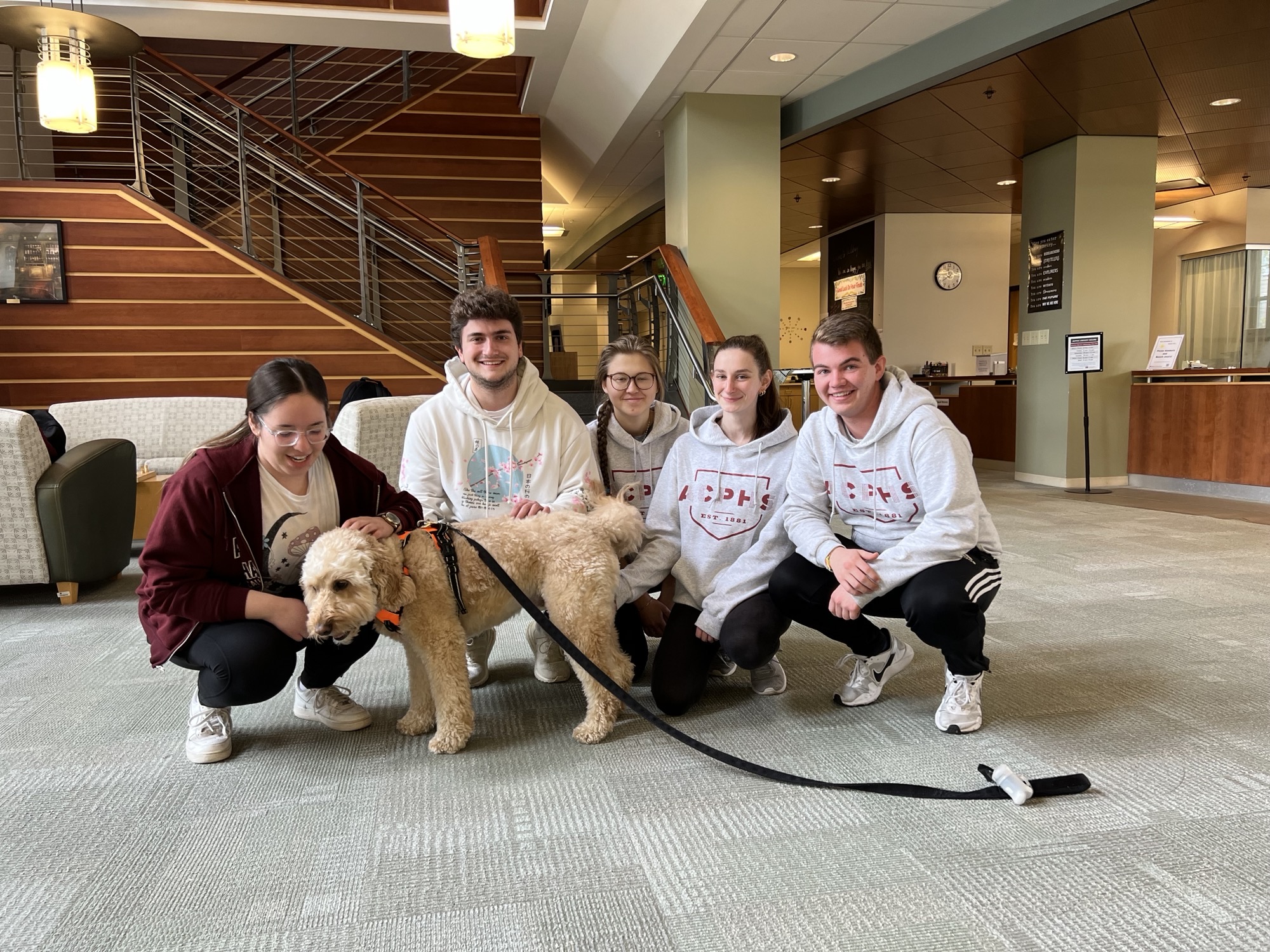ACPHS students gather around therapy dog in library to destress during finals