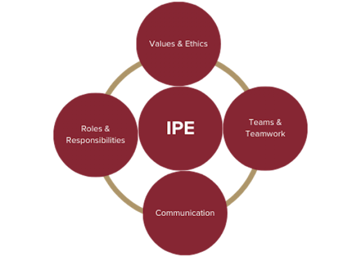 IPE Core Competencies