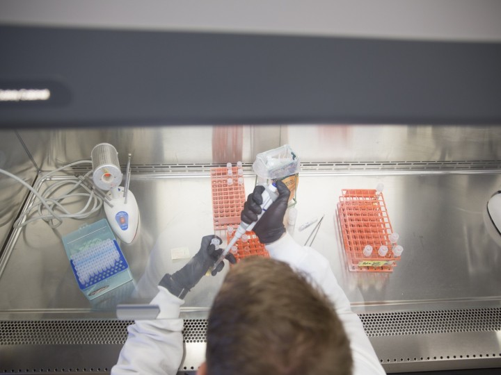 Overhead view of student wearing gloves and lab coat using a pipette and test tube racks