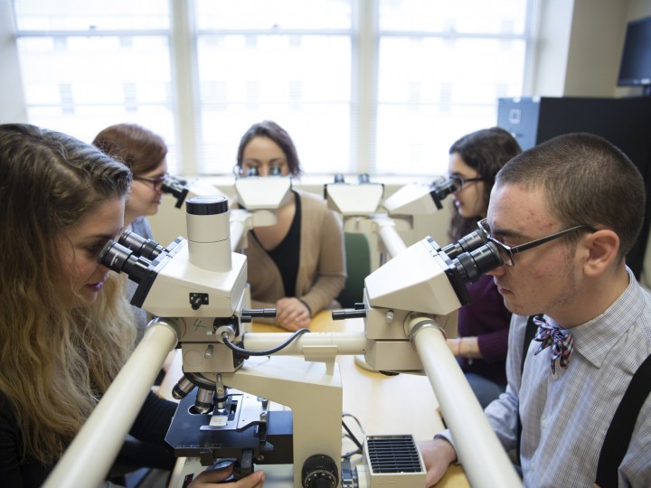 A group of students looking into the microscope in a classroom setting