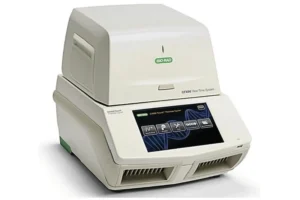CFX96 Touch real-time PCR system amplifying and quantifying DNA samples.