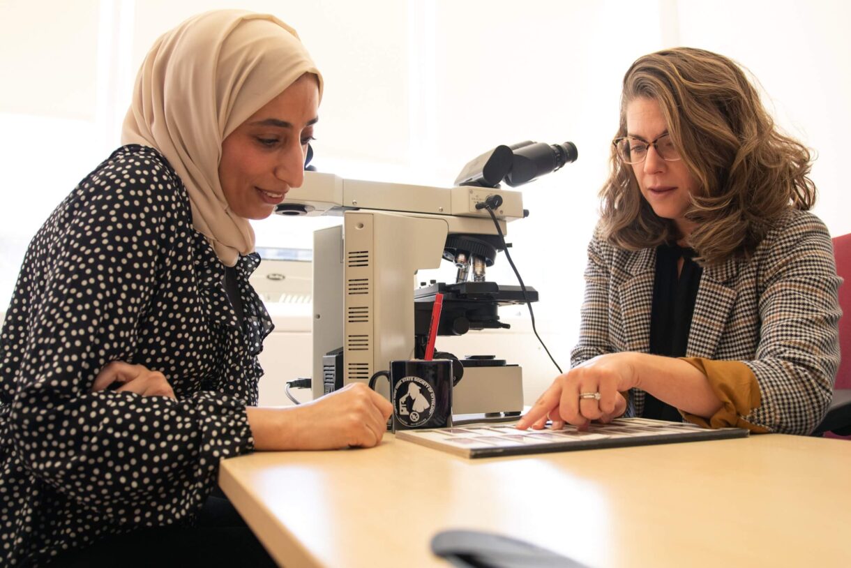 Home Albany College Of Pharmacy And Health Sciences