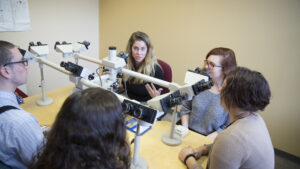 Slight overhead view of the students sitting around the microscope discussing results