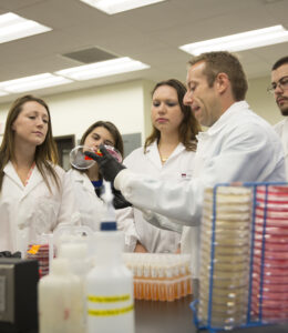Students examining an agar plate