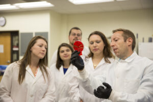 Students examining an agar plate