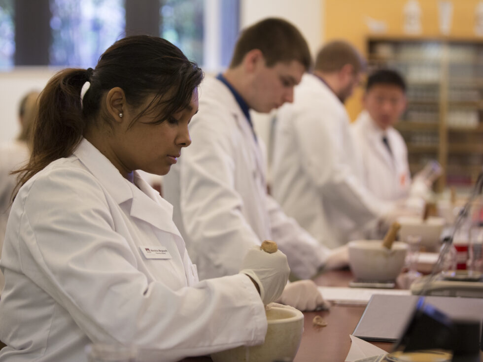 Students using mortar and pestle to mix compounding ingredients