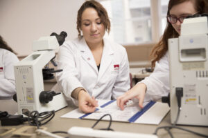 students selecting histology slides for viewing